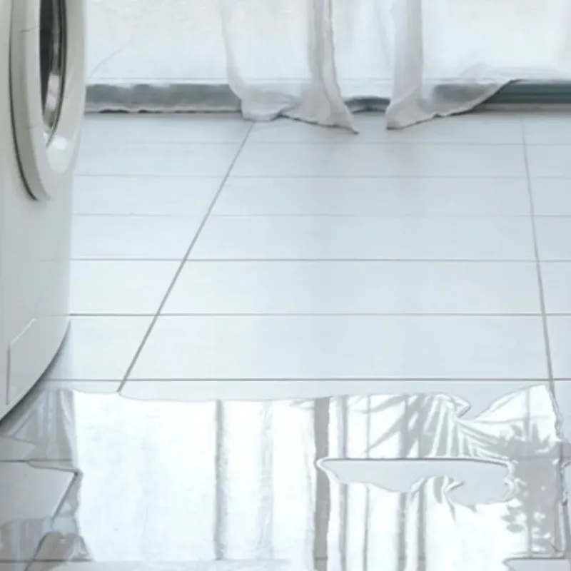 Appliance Leak Cleanup in Inkster, MI