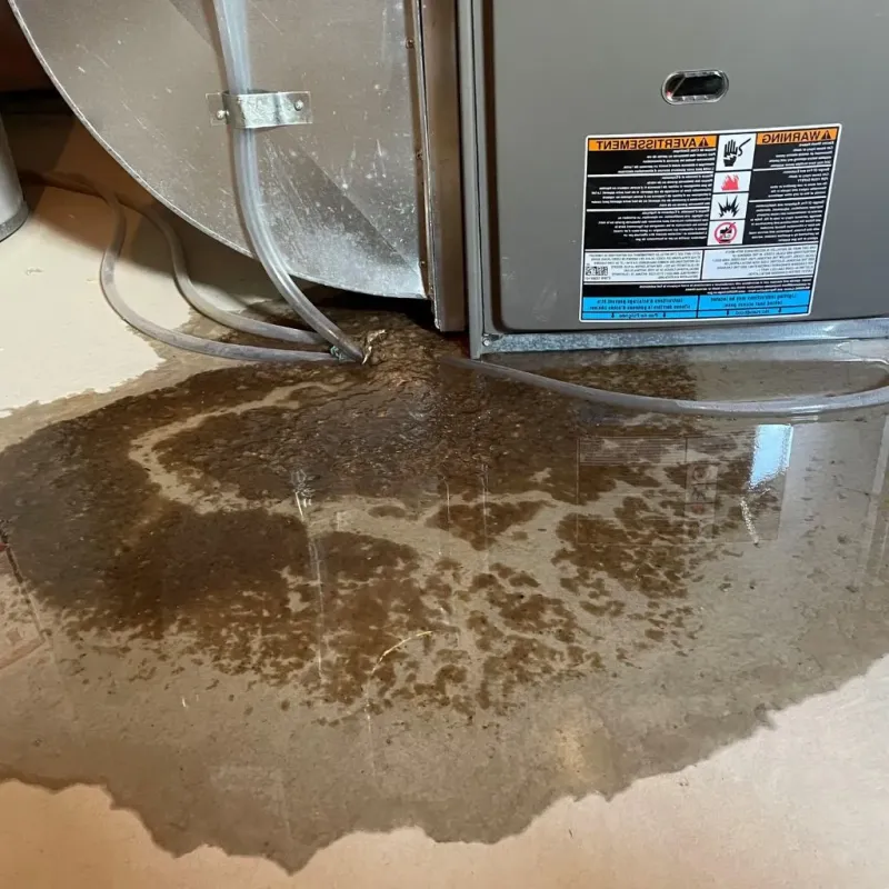 Pipe Burst and Leak Restoration in Inkster, MI